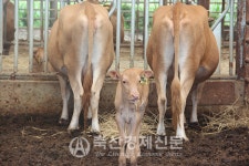 축산농가 개선요구 묵살한 채 사육밀도 모니터링 가동