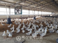계열농가 축산 경영인인가? 아닌가?(하)