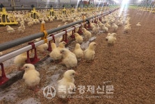 농식품부 허용됐던 가설건축물 허가 안한다