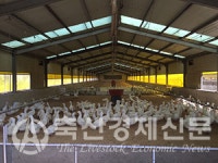 축산경제신문 선정 2021 축산분야 10대 뉴스