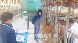 천하제일, 한우 고급육 선도 결실