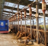 충북농업기술원 축산 스마트팜으로 생산성·소득 향상