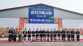 춘천철원화천양구축협 가축시장 신축