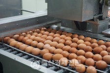 통계청에 업종 신설 요청