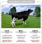 농협 젖소개량사업소 한국형 보증씨수소 정액 출시