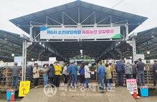 순천광양축협 제6차 한우 육성우 분양행사 실시
