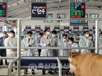 화순축협 스마트 가축시장 개장