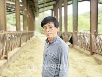 [나눔축산 후원농가⑨] 충북 괴산 알프스목장