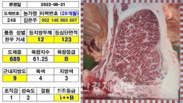 역대 최단기간 슈퍼한우 탄생