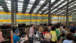 제주도 선진지 견학