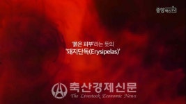 중앙백신연구소, 유튜브 콘텐츠 VAC과사전 주목