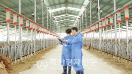 「NH하나로목장」 인기 만발