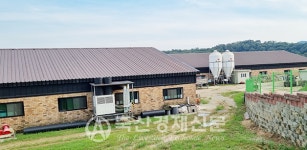 [고곡물가 시대 살아남기] 한돈