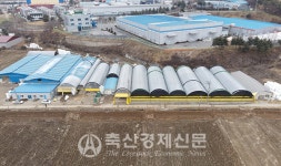 [고곡물가 시대 살아남기] 낙농