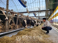 [고곡물가 시대 살아남기] 낙농