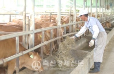 창간 32주년 특집테마 고곡물가 시대 살아남기 [프롤로그] 생산성 향상, 이제는 생존의 필수
