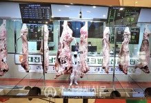 거세우 낙찰가 3200만원