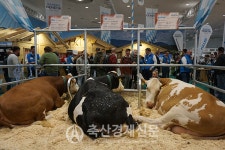 하노버 국제축산전문박람회를 가다-(상)세계 최대 축산박람회…전 세계 동향 한 눈에