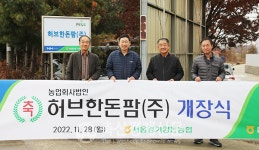 허브한돈팜 본격 자돈 생산