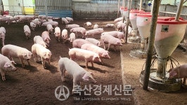 [선진한마을 우수농장 탐방] 경북 경주 Y.C바이오
