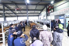 [화제의 조합] 춘천철원화천양구축협