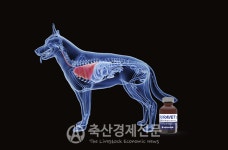 녹십자수의약품 반려동물용 항생제 국제특허 출원
