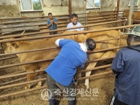 강릉시, 혹서기 대비 순회 진료 실시