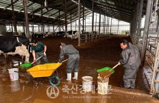 전국 집중호우 피해지역 복구 지원 현장