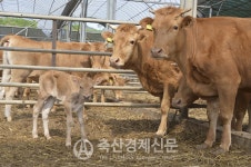 전북 순창군, 축산악취 문제해결 적극 나서