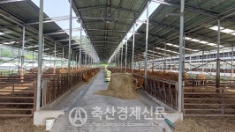 [지금 이곳에선] 곡성축협