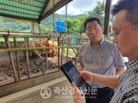 스마트 축산Ⅱ… 농협은 어떻게 진행되고 있나?