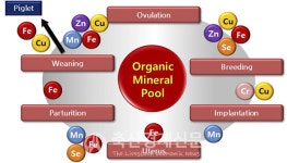 에스비신일(주)  「뉴트리패스 M10」각광