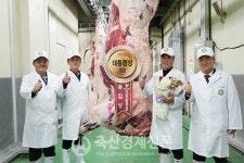 역대 최고액 1억 가까운 한우 탄생