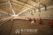 [2024 ESG경영 모범 사례] 하림