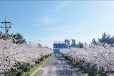 제주양돈농협 사료가격 인하·특별장려금 지급