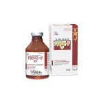 에스비신일,  구충의 계절…예방 주의를