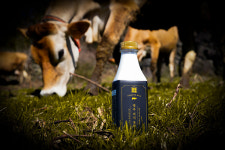 [제주특집] 탐방 - 농업회사법인 ㈜제주우유