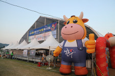 제6회 미량초우 축산물페스티벌 성료