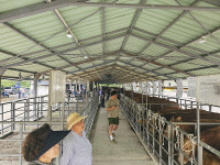 서귀포시축협, 6월 가축시장 개장