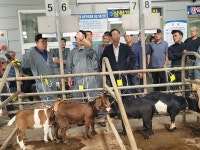 동해삼척태백축협  염소경매시장 개장