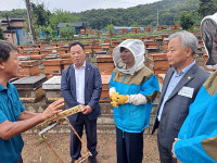 [화제의 농장] 안성죽산벌꿀