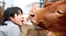 [나눔축산 후원농가-11] 경기 양평 청송농장