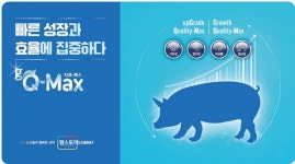 팜스토리도드람B&F, 양돈 생산성 향상 맞춤 사료 출시