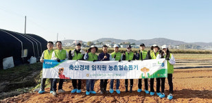농협 축산경제 농촌일손돕기 현장