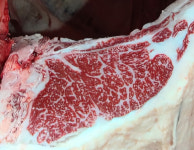 평택미한우 고급육 평가대회