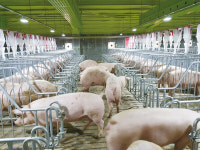 2025 초고령화 해법은 Ⅰ … 현황·대책