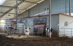 [스마트축산 현장] 충남 예산 가덕목장