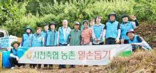 서천축협, 매실 수확·환경 정리 실시