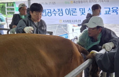 서귀포시축협, 인공수정 실습 교욱