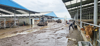 농협사료 충청지사, 폭우 피해 농가 긴급 지원
